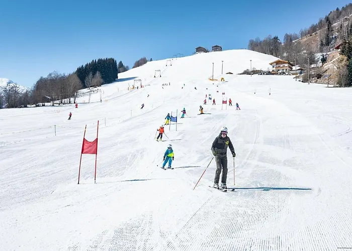 Holiday Home In Niedernsill Near Ski Area